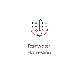 rainwater